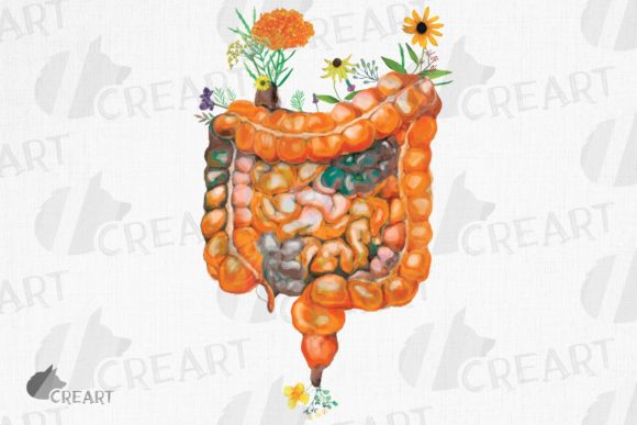 Prairie Flowers Anatomical Intestines